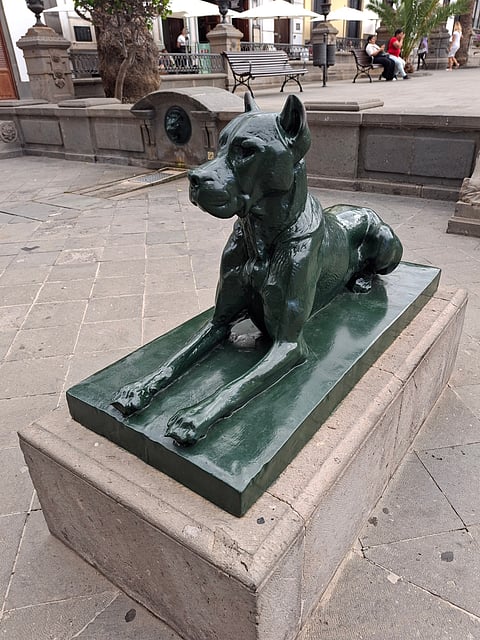 The dogs stand guard facing the Cathedral of Santa Ana